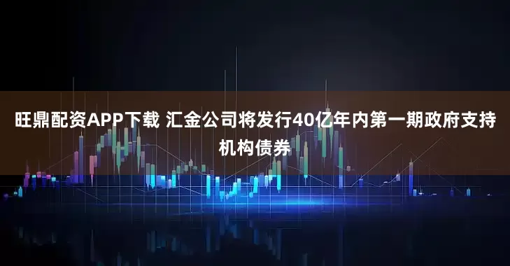 旺鼎配资APP下载 汇金公司将发行40亿年内第一期政府支持机构债券