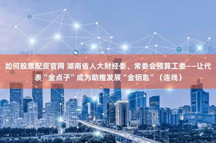 如何股票配资官网 湖南省人大财经委、常委会预算工委——让代表“金点子”成为助推发展“金钥匙”（连线）