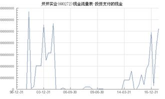 开开实业 600272 投资支付的现金